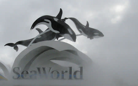 FILE PHOTO: The SeaWorld amusement park is pictured in Orlando, September 3, 2009. REUTERS/Mathieu Belanger/File Photo