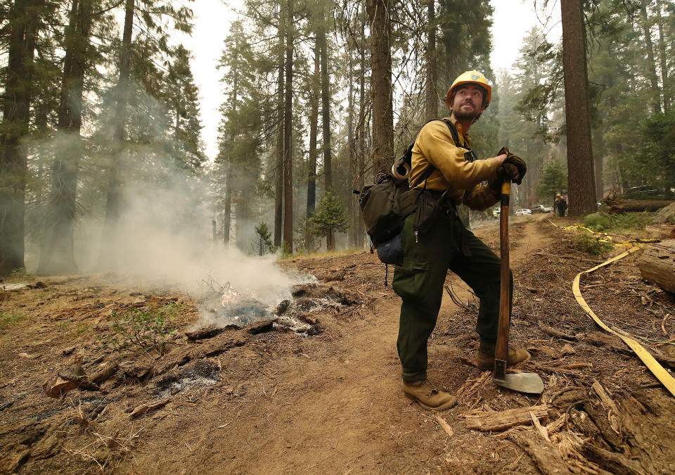 Ben Grunwald watches a control burn at a fire line to help protect the General Sherman area at Sequoia National Park, Calif., Wednesday, Sept. 22, 2021. (AP Photo/Gary Kazanjian)