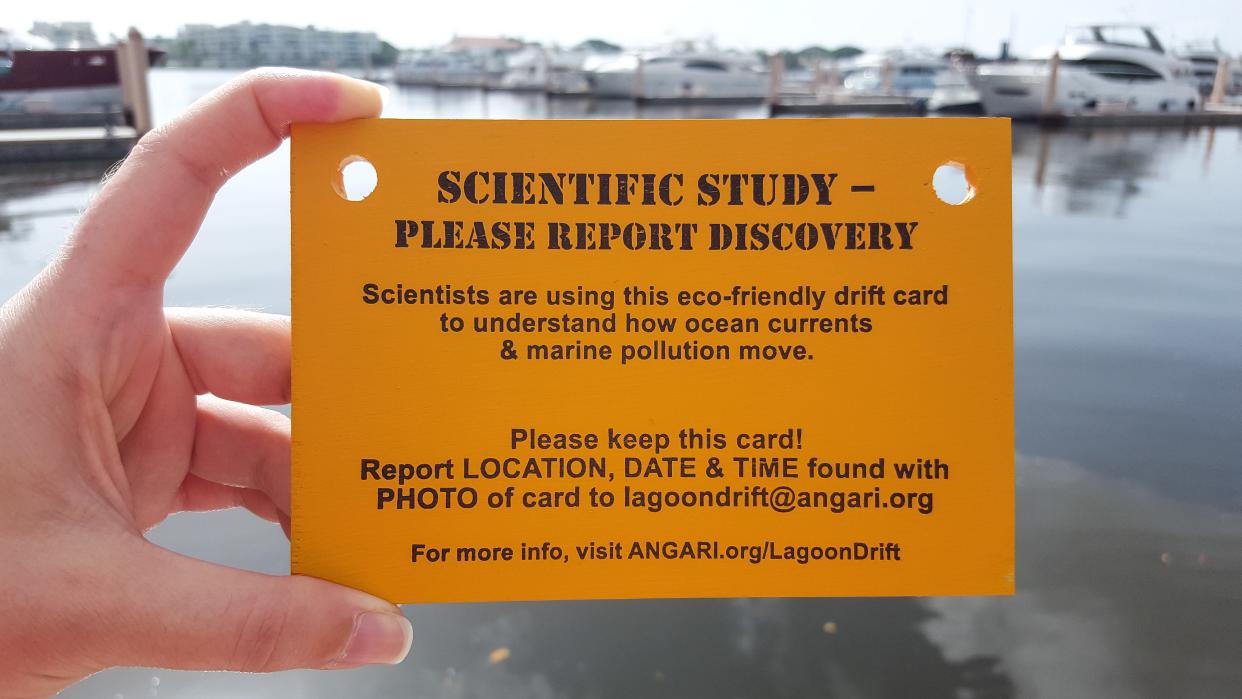 The ANGARI Foundation wants citizen scientists to take to the beaches and report any drift cards found along the shoreline.