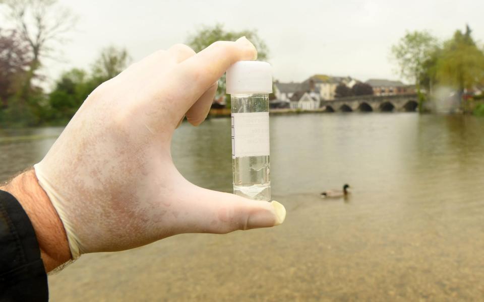 The Telegraph tested water quality at Fordingbridge on May 17 and found worryingly high levels of E.coli