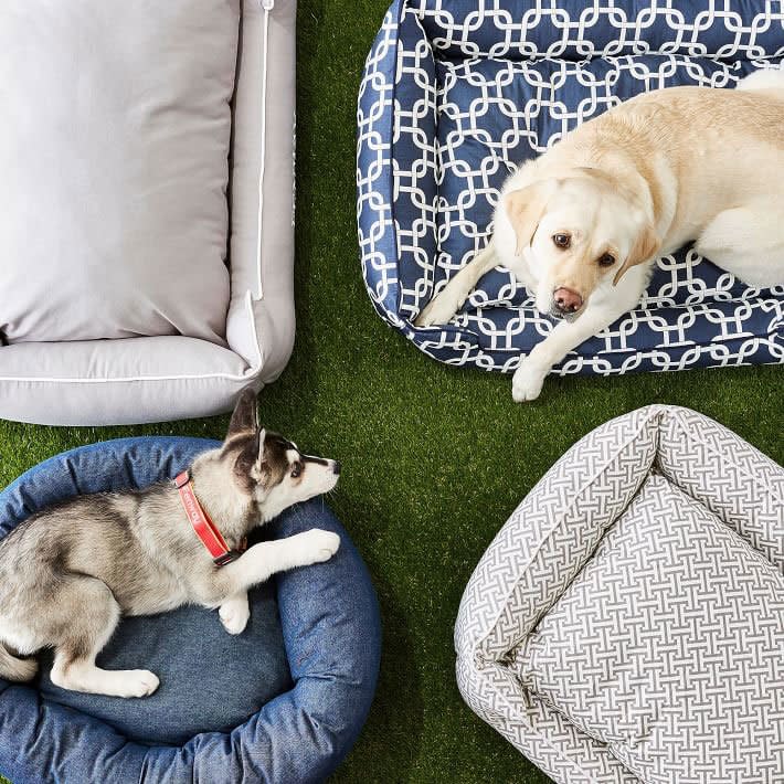 18 Holiday Gift Ideas for Pets (and Pet Lovers)