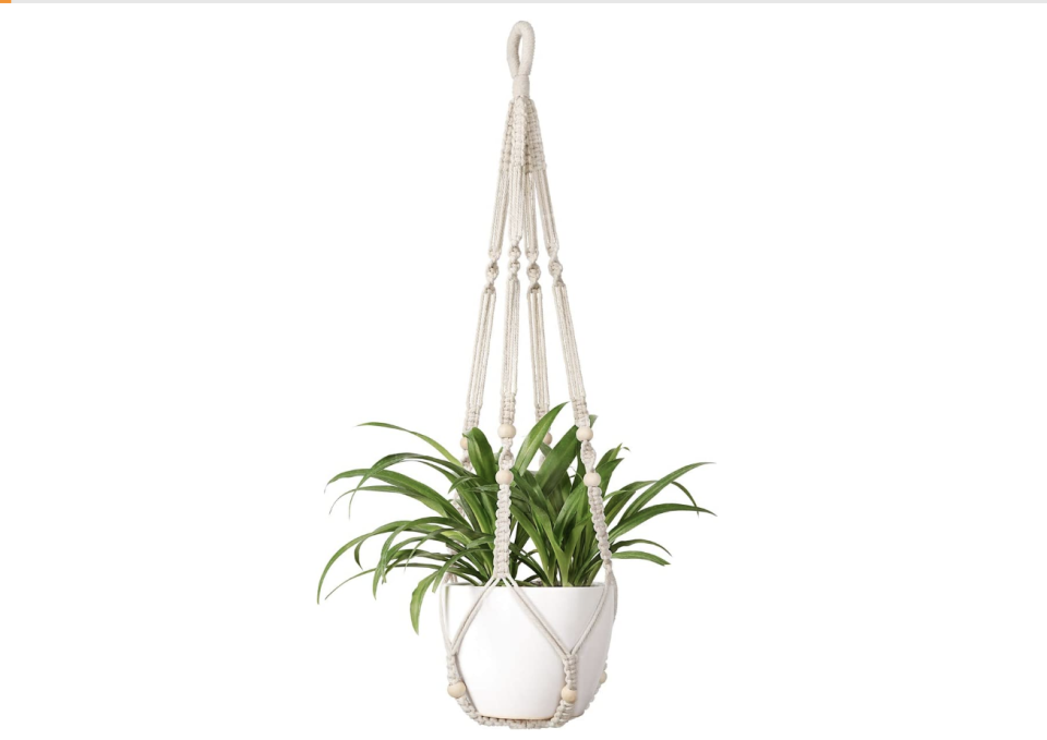 37) Plant Hanger