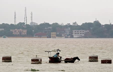 People travel on a horse drawn carriage through a flooded road on the banks of river Ganga in Allahabad, India July 10, 2016. REUTERS/Jitendra Prakash