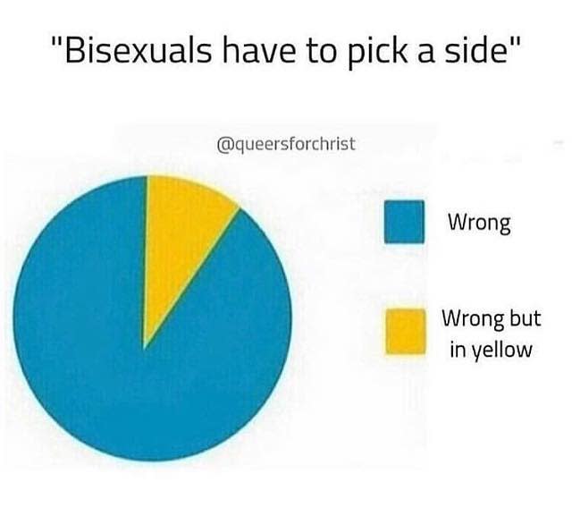 25) Bisexual memes