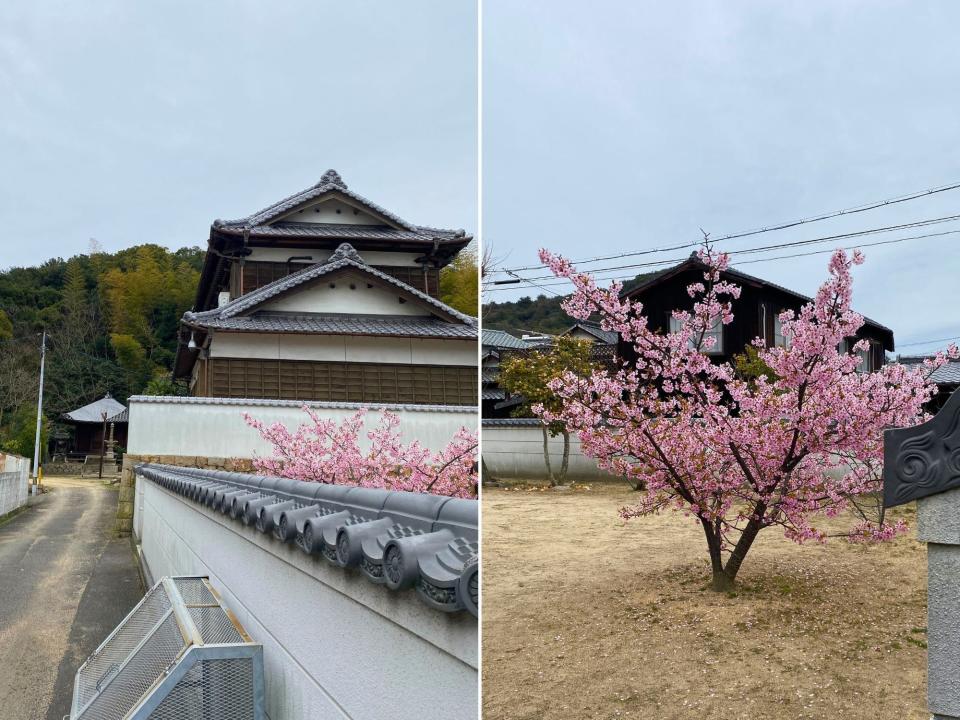 Cherry blossoms in Naoshima, Japan, Kennedy Hill, "I Spent a Day Exploring One of Japan's Art Islands."