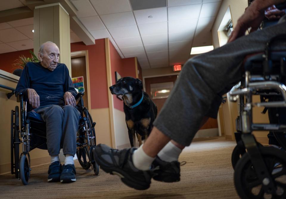 Scout walks past residents of Meadow Brook Medical Care Facility in Bellaire on Thursday, July 13, 2023.