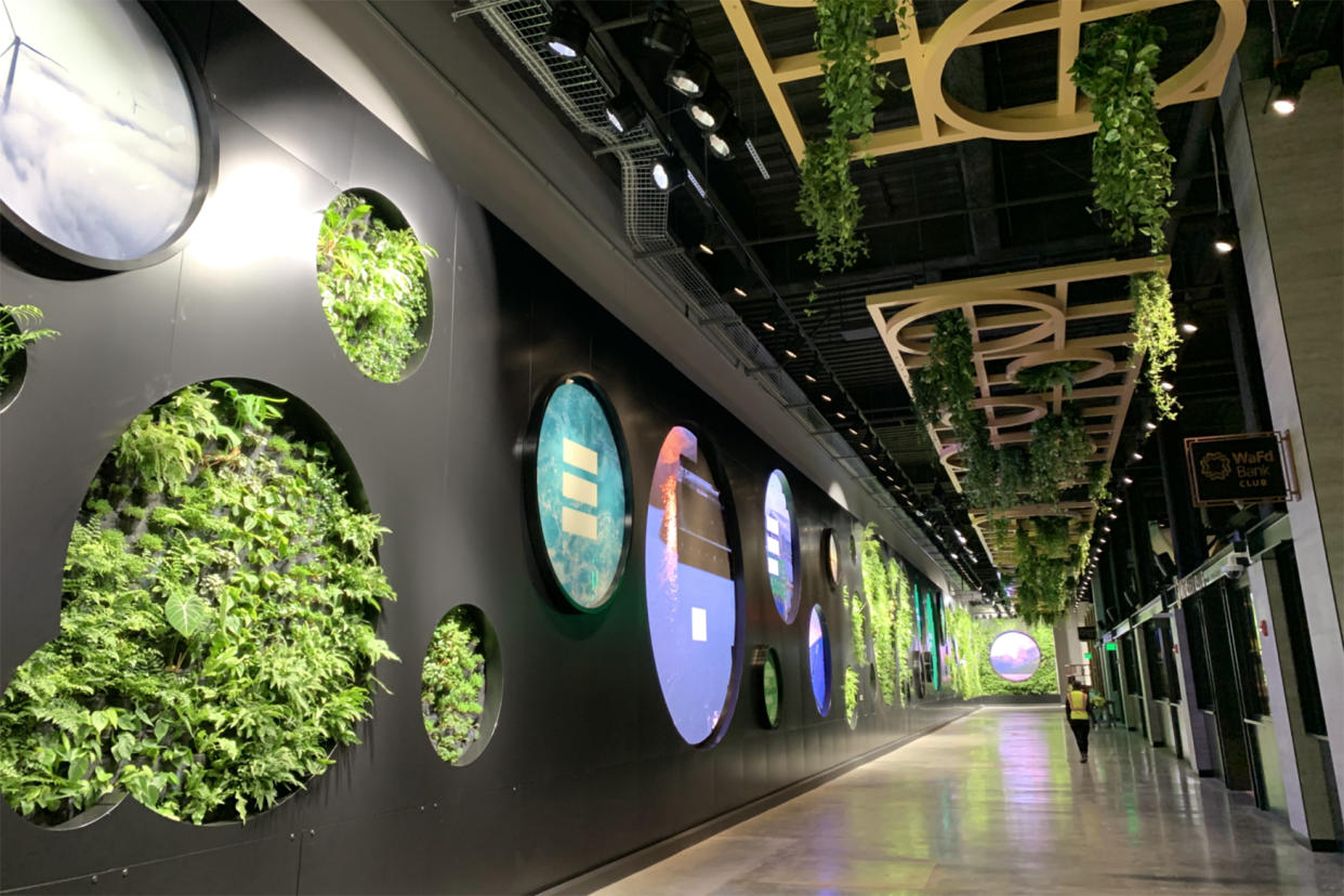 The living wall (Evan Bush / NBC News)