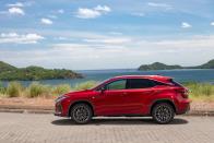 <p>2020 Lexus RX</p>