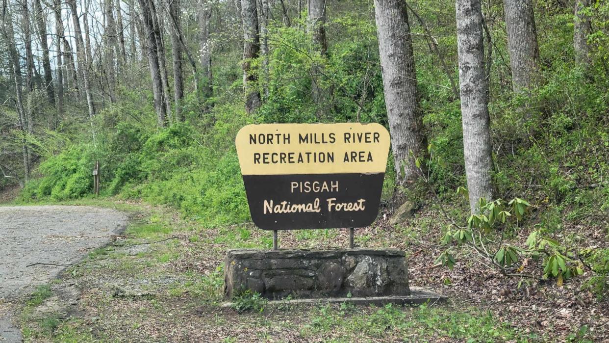 Hayden Brook, 29, of Jonesborough, Tennessee, was allegedly shot and killed by sheriff's deputies at North Mills River Campground on April 13.