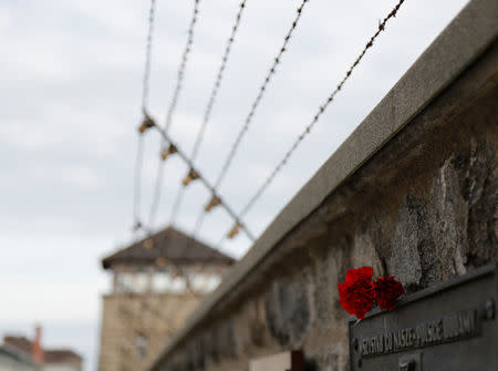 Barbed wire is pictured in the former concentration camp Mauthausen near Linz in upper Austria May 5, 2013. REUTERS/Leonhard Foeger/Files