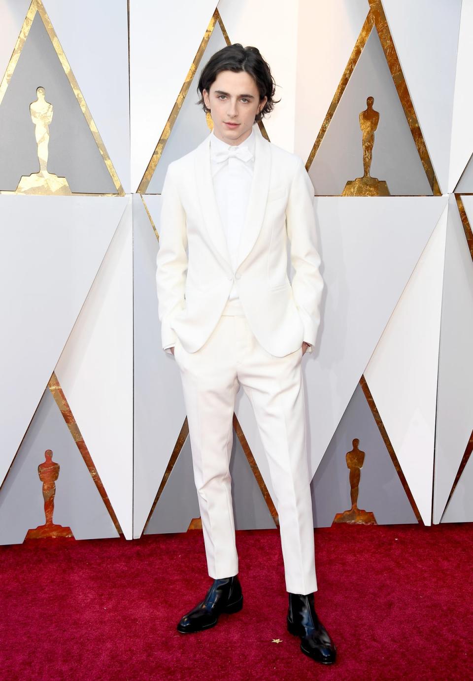 Chalamet wears Berluti Ackermann attends the 90th Annual Academy Awards, 2018 (Getty Images)