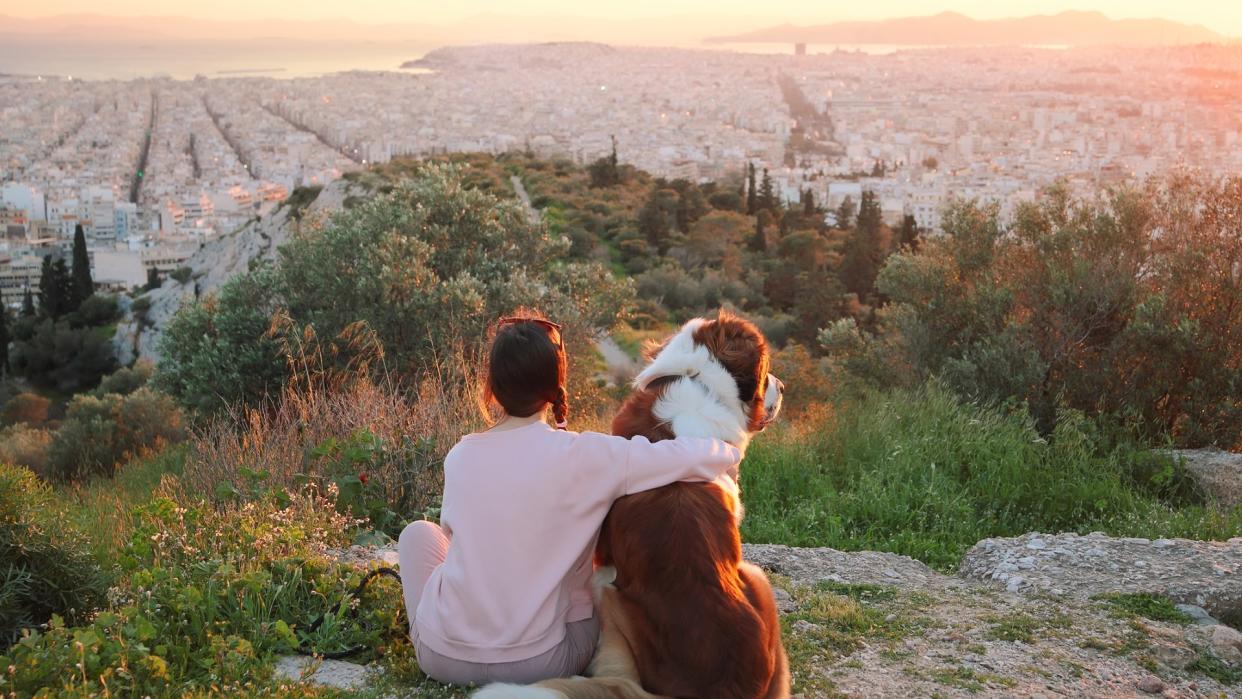 A woman hugs a Saint Bernard as they both look off into the distance