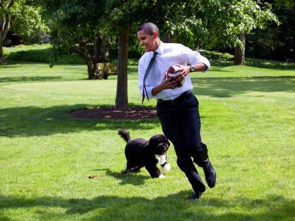 Bo Obama football