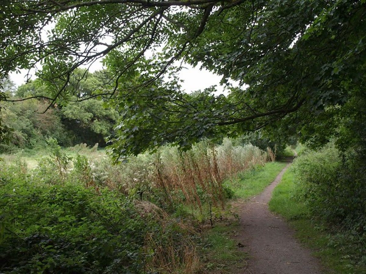 The attacks have been reported in the Hackney Marshes area (Geograph - Derek Harper - Creative Commons)