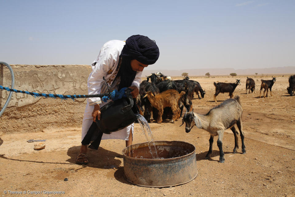 2019年，綠色和平赴摩洛哥綠洲，記錄當地受氣候變遷衝擊的真實狀況。在極端氣候之下的沙漠環境，水資源顯得特別珍貴，當地人需用水飼養牲畜和自己飲用。