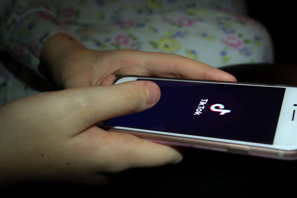 FBI director Christopher Wray raised concerns regarding how the data TikTok collects is used  (Peter Byrne/PA)