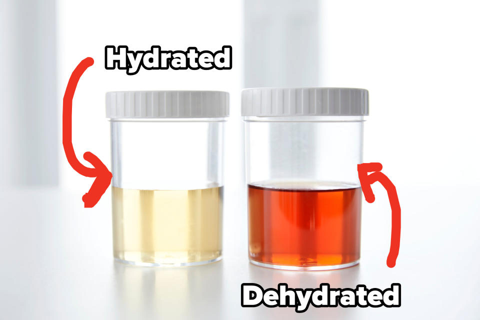 A glass with lighter liquid (marked "hydrated") and another with rust-colored liquid (dehydrated)