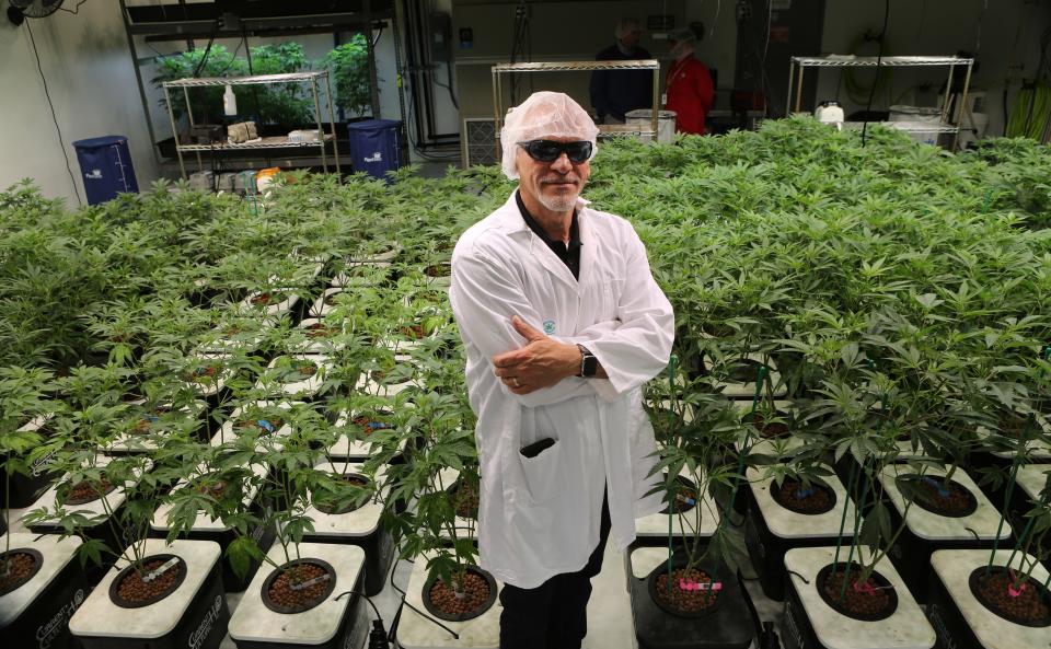 Mark Lally, CEO of First State Compassion, stands among a group of cannabis plants in a nursery on May 9, 2022.