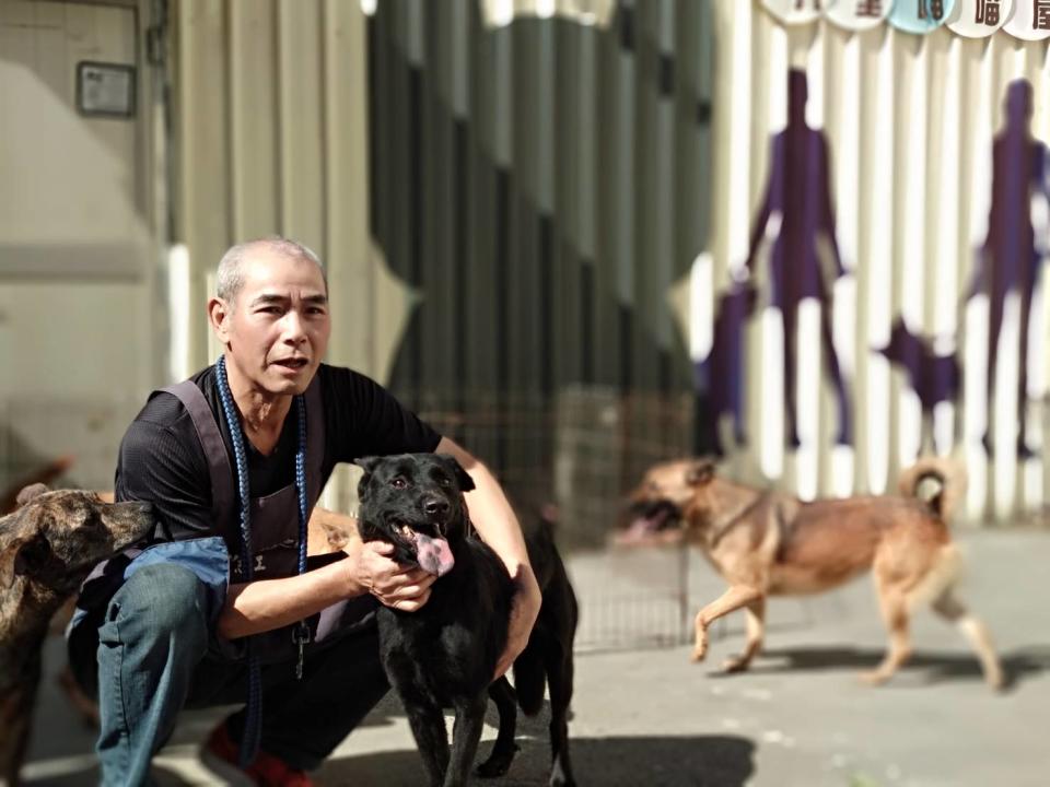 退休波麗士大人彭昭左8年來風雨無阻，到八里動物之家照顧毛寶貝。   圖：新北市動物處提供