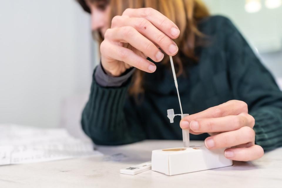 Woman reading instructions while taking rapid antigen test