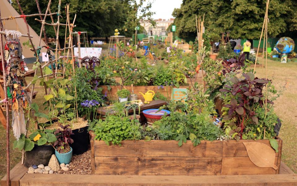 RHS Hampton Court Palace Garden Festival medal winners - Oliver Dixon