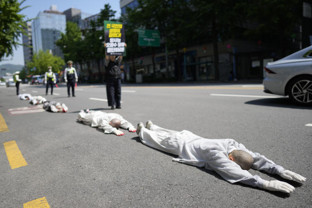 South Korean Buddhist monks, Buddhists and members of civic groups bow which they prostrate themselves, on the road in a march as they move toward to Japanese Embassy during a rally demanding the stop of Japanese government's decision to release treated radioactive water from the Fukushima, in Seoul, South Korea, Monday, May 8, 2023. (AP Photo/Lee Jin-man)