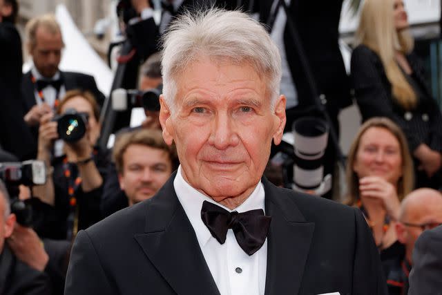 <p>Mike Coppola/Getty</p> Harrison Ford