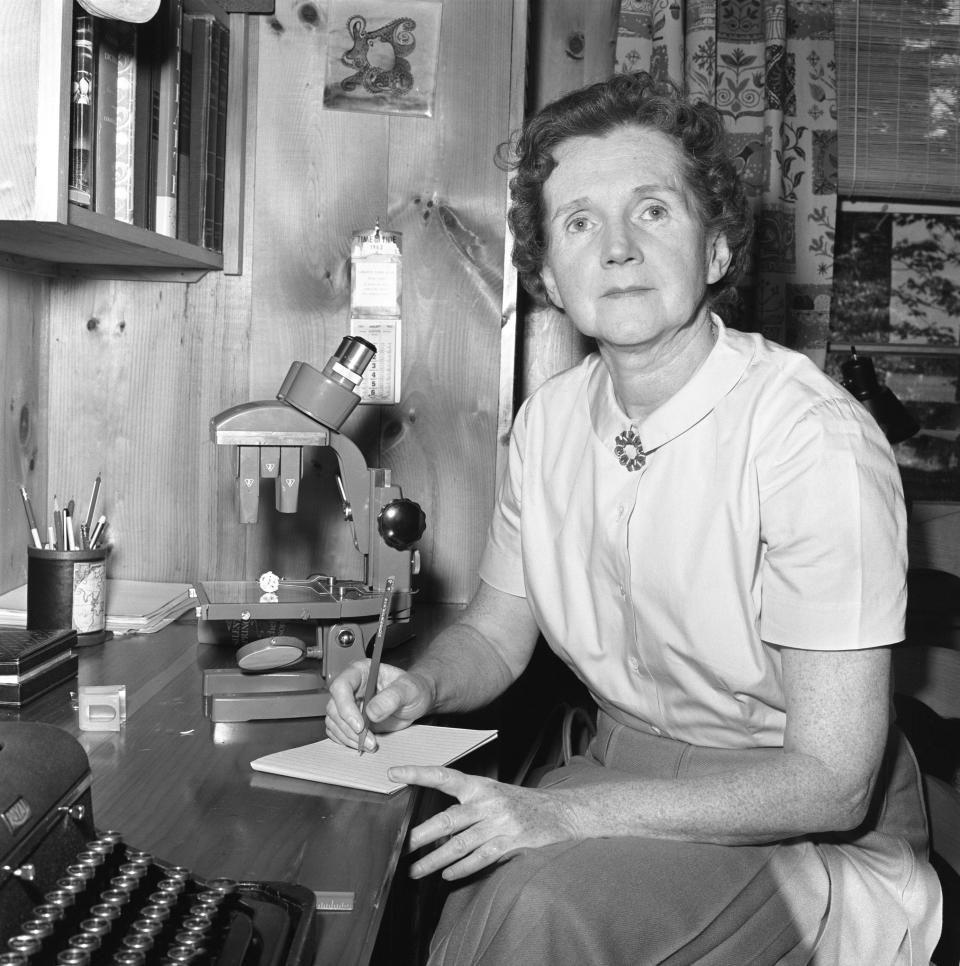Rachel Carson's work as a marine biologist sparked an environmental movement that led to actual change&nbsp;<i>across the world. </i>In 1962 <a href="https://www.nrdc.org/stories/story-silent-spring" target="_blank">Carson published her greatest piece of scientific work, "Silent Spring,"</a>&nbsp;which exposed the dangerous properties of the pesticide DDT, leading to an eventual ban in America.