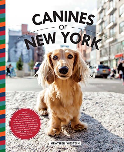 Canines of New York (Amazon / Amazon)