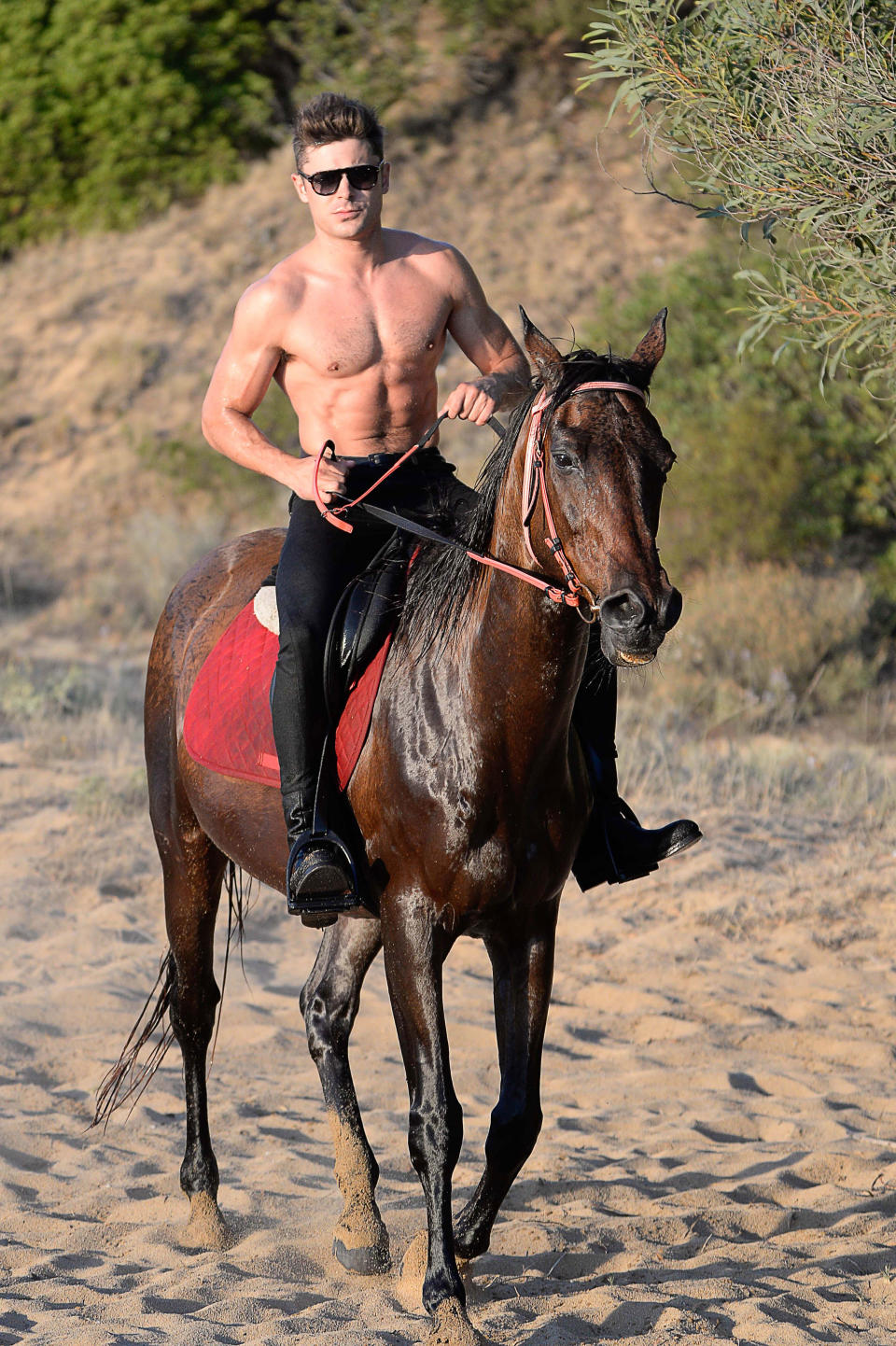 <p>This is Zac Efron riding a horse on a beach and basically embodying every cheesy romance novel cover ever. It's the stuff of (my) fantasies, TMI?</p>