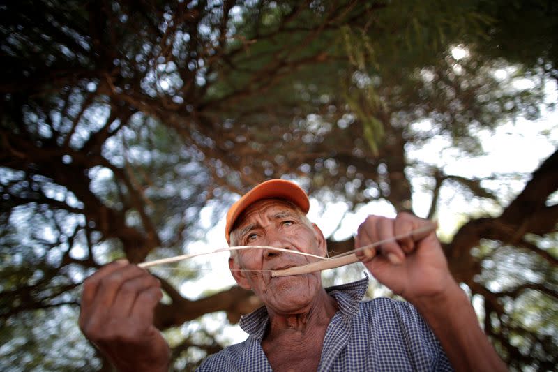 A man of the indigenous Wichi community plays an instrument, in the Salta province