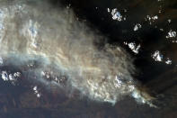 Foto tomada del Twitter de @Cmdr_Hadfield: Imagen llamativa de los incendios forestales en Australia. Serpentinas de humo son visibles en todo el país.