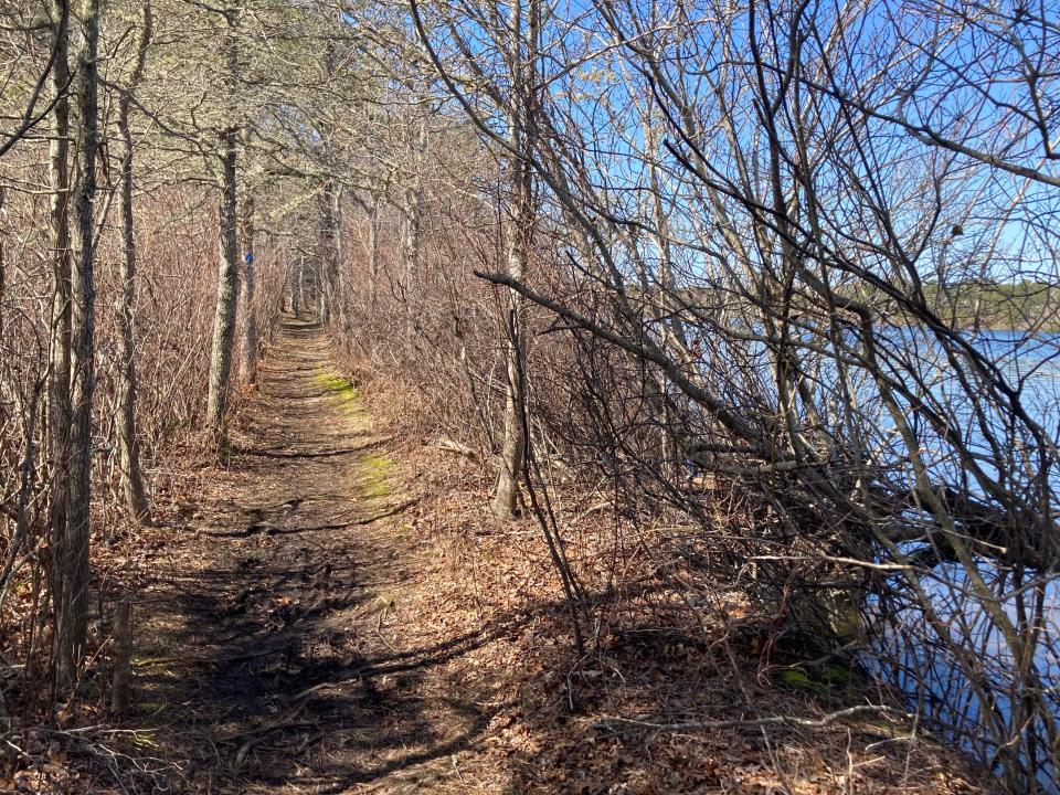 Pondside paradise along the Eagle Point trail system in Brewster.