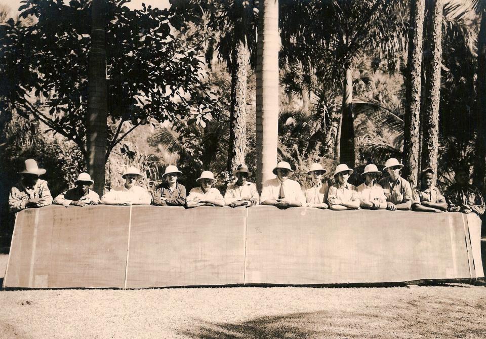 Bringing “the board” to McKee Jungle Gardens prior to 1941. The world’s largest one-piece mahogany table sits in the Hall of Giants in what is now McKee Botanical Garden, Vero Beach. Peter O’Malley, president of the Los Angeles Dodgers from 1970 until 1998, donated the table to the garden in 2022.  In 1976, the 35-foot long, 5-foot wide, 4-inch-thick table was purchased by O’Malley with a vision to use it at Dodgertown. He maintained the table at Dodgertown until it was loaned back to McKee in 2003 for display in the original Hall of Giants. He hs made it a permanent gift.