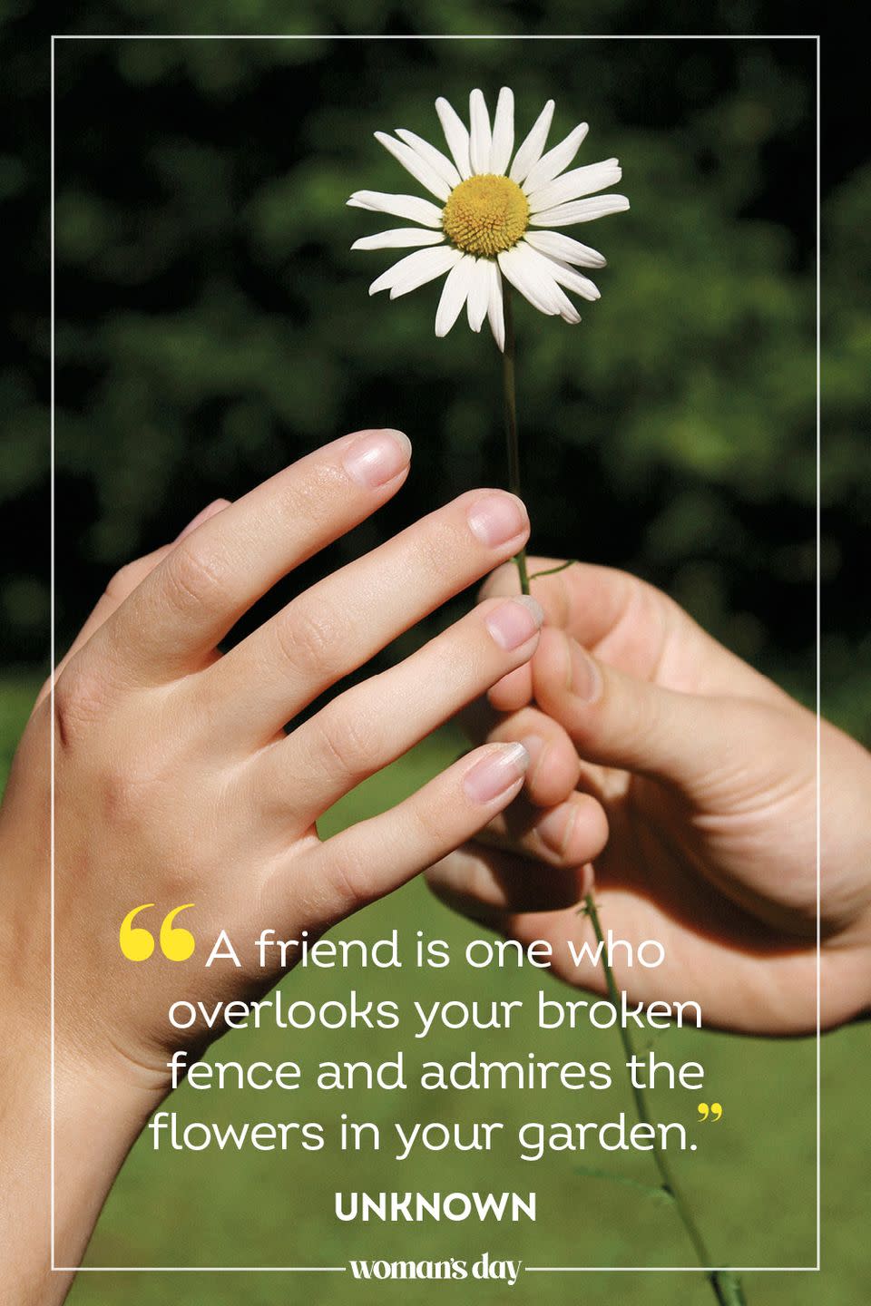 <p>“A friend is one who overlooks your broken fence and admires the flowers in your garden.” </p>