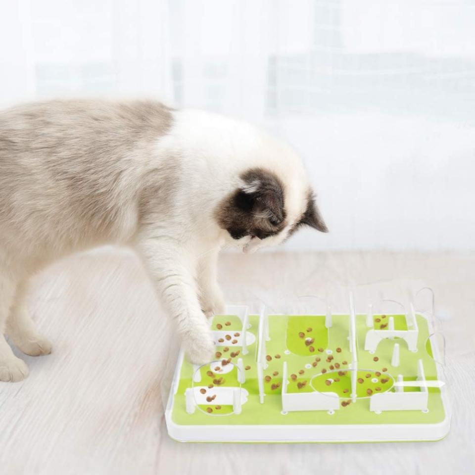 all for paws puzzle, cat food puzzles