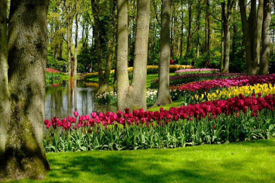 Keukenhof in Lisse, Netherlands