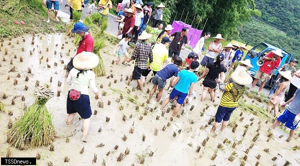 龍吉自然農場。（圖：新北市議員陳儀君服務處提供）