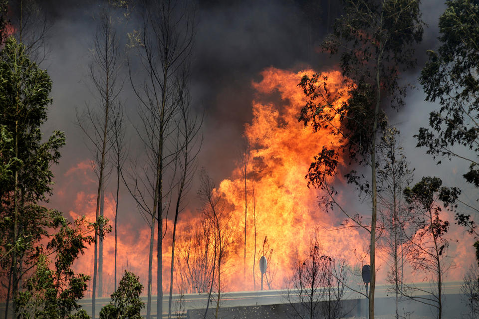 <p>Fire and smoke is seen on the IC8 motorway during a forest fire near Pedrogao Grande, in central Portugal, June 18, 2017. (Miguel Vidal/Reuters) </p>