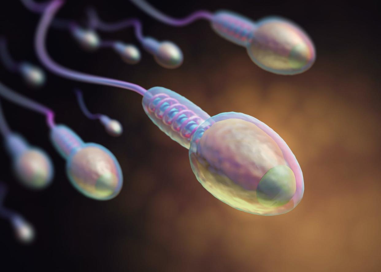 <a href="https://www.shutterstock.com/es/image-illustration/sperms-going-ovule-image-concept-fecundation-358685849" rel="nofollow noopener" target="_blank" data-ylk="slk:ktsdesign / Shutterstock;elm:context_link;itc:0;sec:content-canvas" class="link ">ktsdesign / Shutterstock</a>