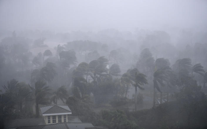 <p><strong>Naples</strong><br>Palm trees blow in the wind as Hurricane Irma passes through Naples, Fla., Sept. 10, 2017. (Photo: David Goldman/AP) </p>