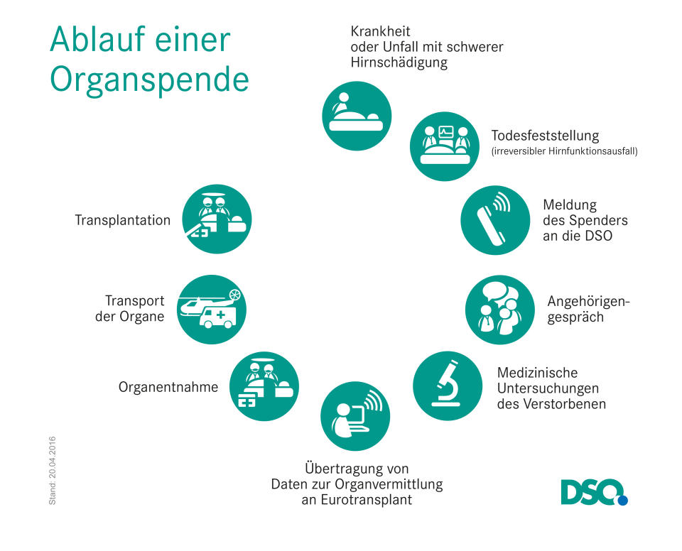 Die Deutsche Stiftung Organtransplantation erklärt den Ablauf einer Organspende. (Bild: DSO)