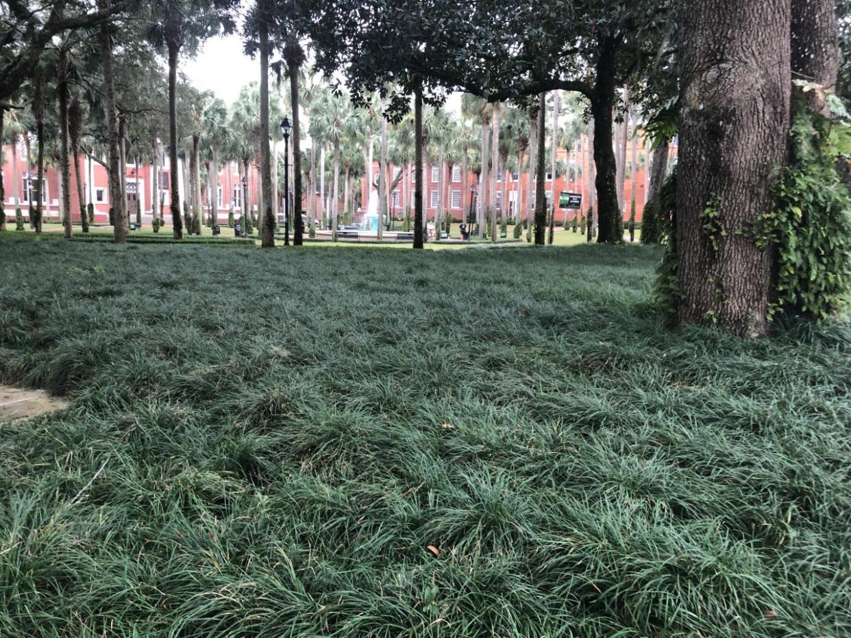 A look across the campus of Stetson University at the Holler Fountain in the Palm Court suggests the school's commitment to the environment. The school was recently named one of 455 "green colleges" by the Princeton Review.