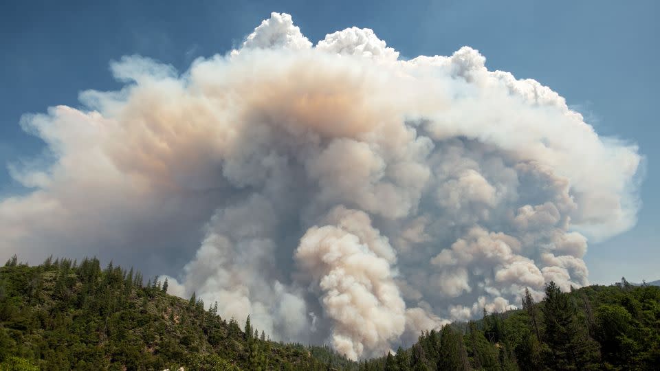 A large pyrocumulus cloud explodes outward on July 27, 2018, during the Carr Fire near Redding, California. - JOSH EDELSON/AFP/AFP via Getty Images