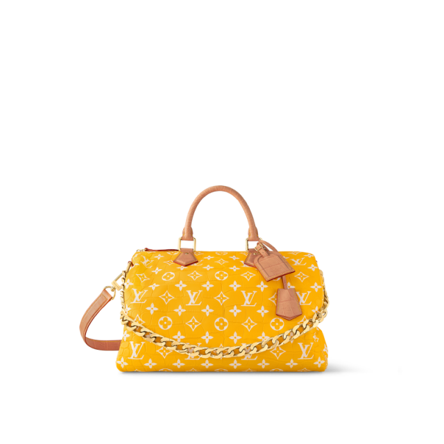 Louis Vuitton Handbag Stock Photo - Download Image Now - Louis