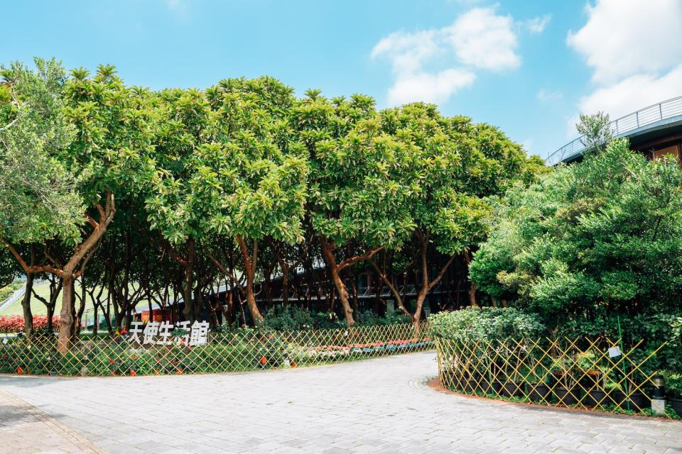 「天使生活館」與「台北典藏植物園」在同一個建築內（圖片來源：Getty Creative）