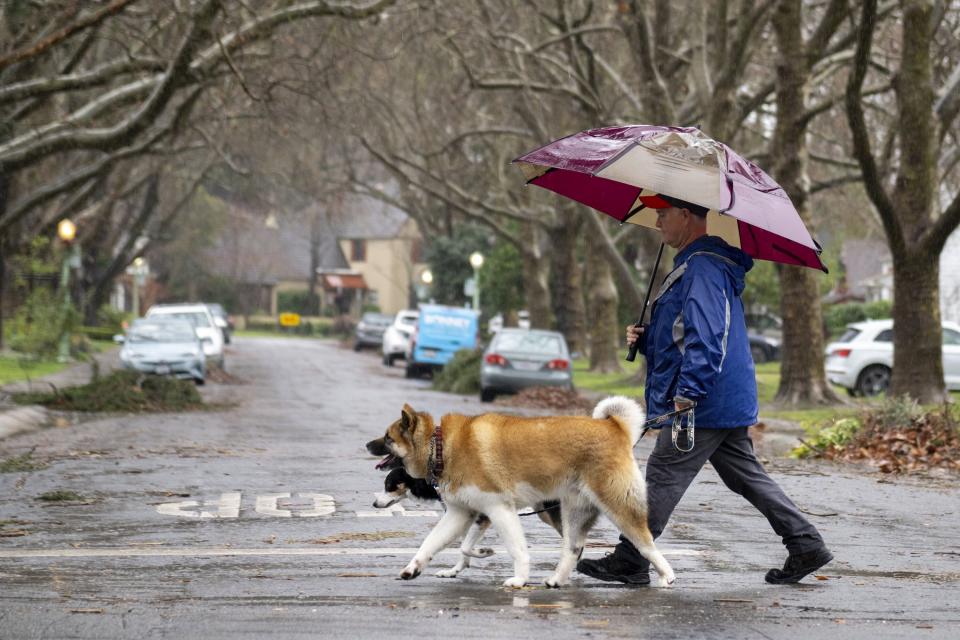 A man uses an umbrella to keep dry in the rain while walking his dogs in Land Park in Sacramento, Calif., on Thursday, Jan. 5, 2023. (Paul Kitagaki Jr./The Sacramento Bee via AP)