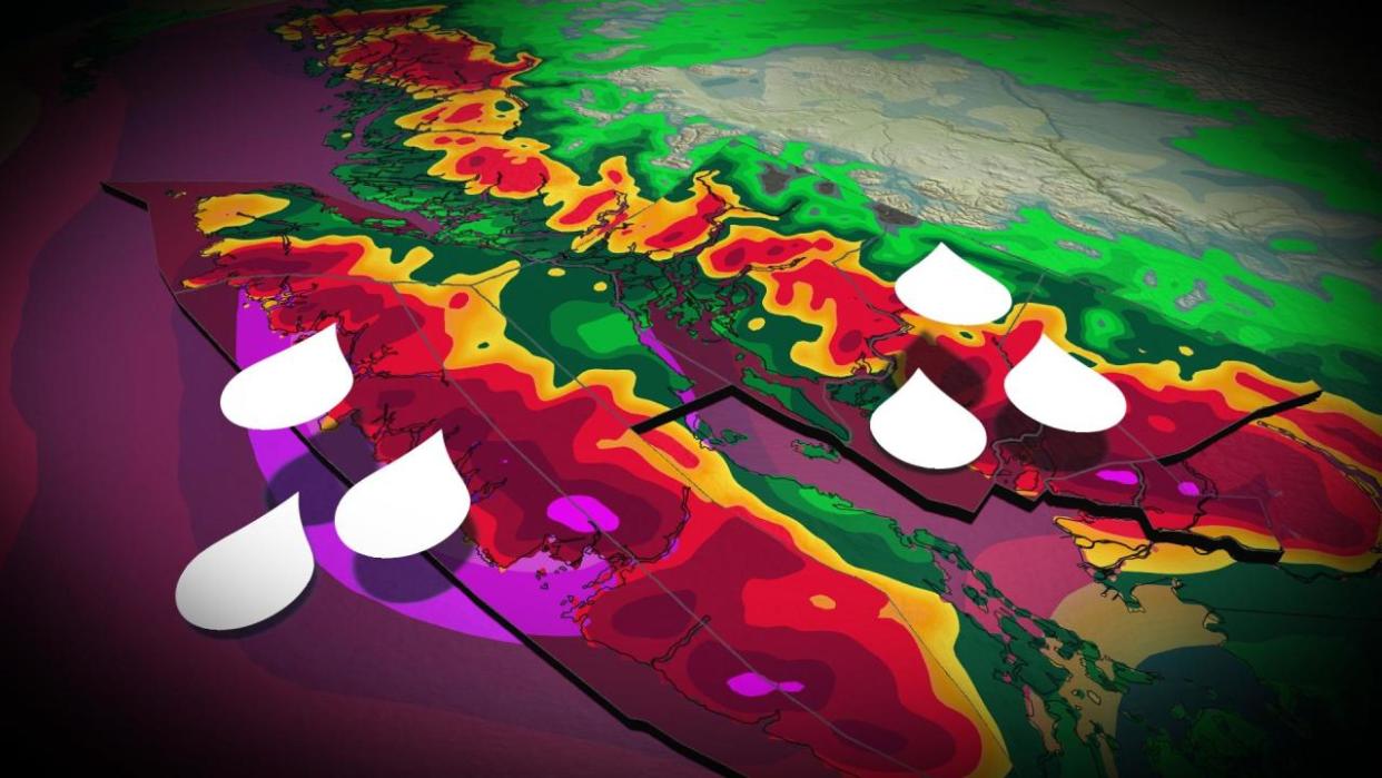 Series of atmospheric rivers target B.C., raises flood and avalanche risk