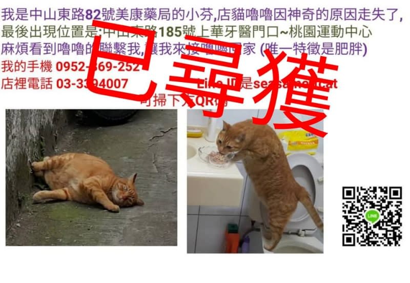 都市傳說是真的！飼主求助路邊黑喵　牠帶路５００公尺奇蹟找到走失貓咪