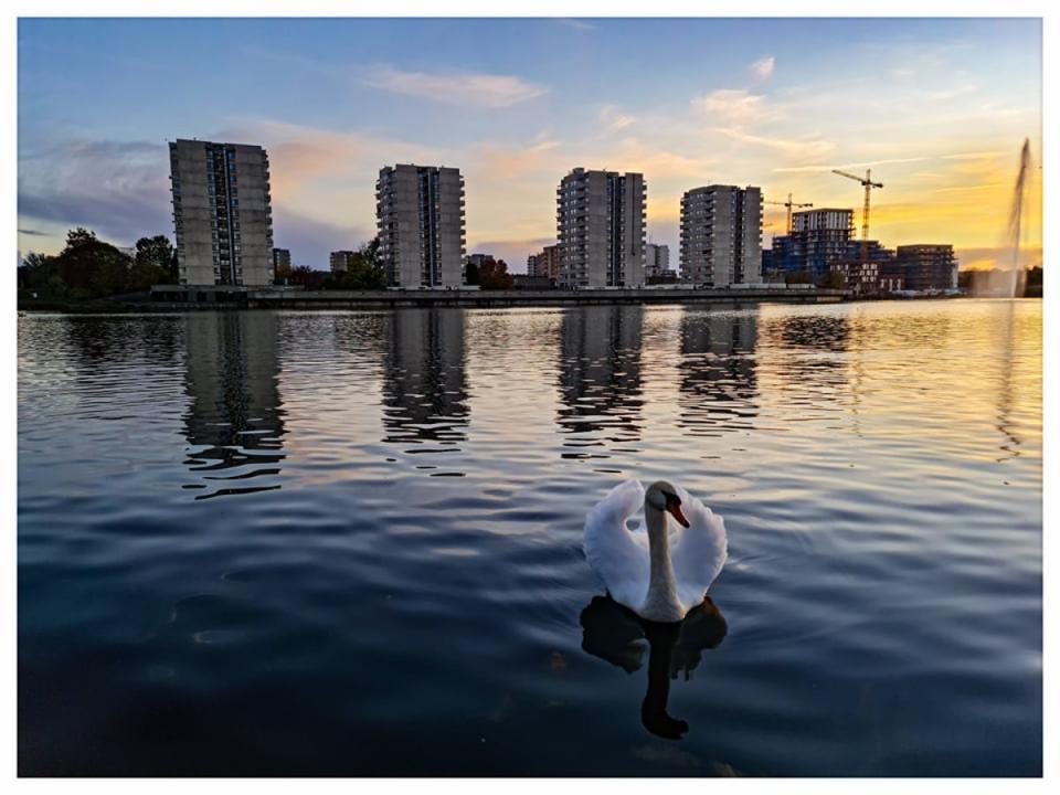 Southmere Lakes (Paul Elliott)